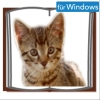 Artikelbild 1 des Artikels “Klick Tool Literacy AAC “