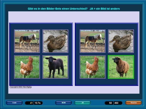 Artikelbild des Artikels “Bild Plus A-L “