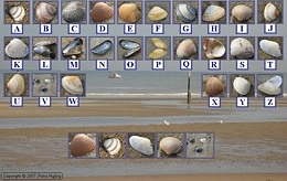 Artikelbild des Artikels “Digi-Rigs-L “