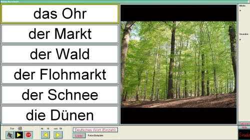 Artikelbild des Artikels “Hören-Sehen-Schreiben “