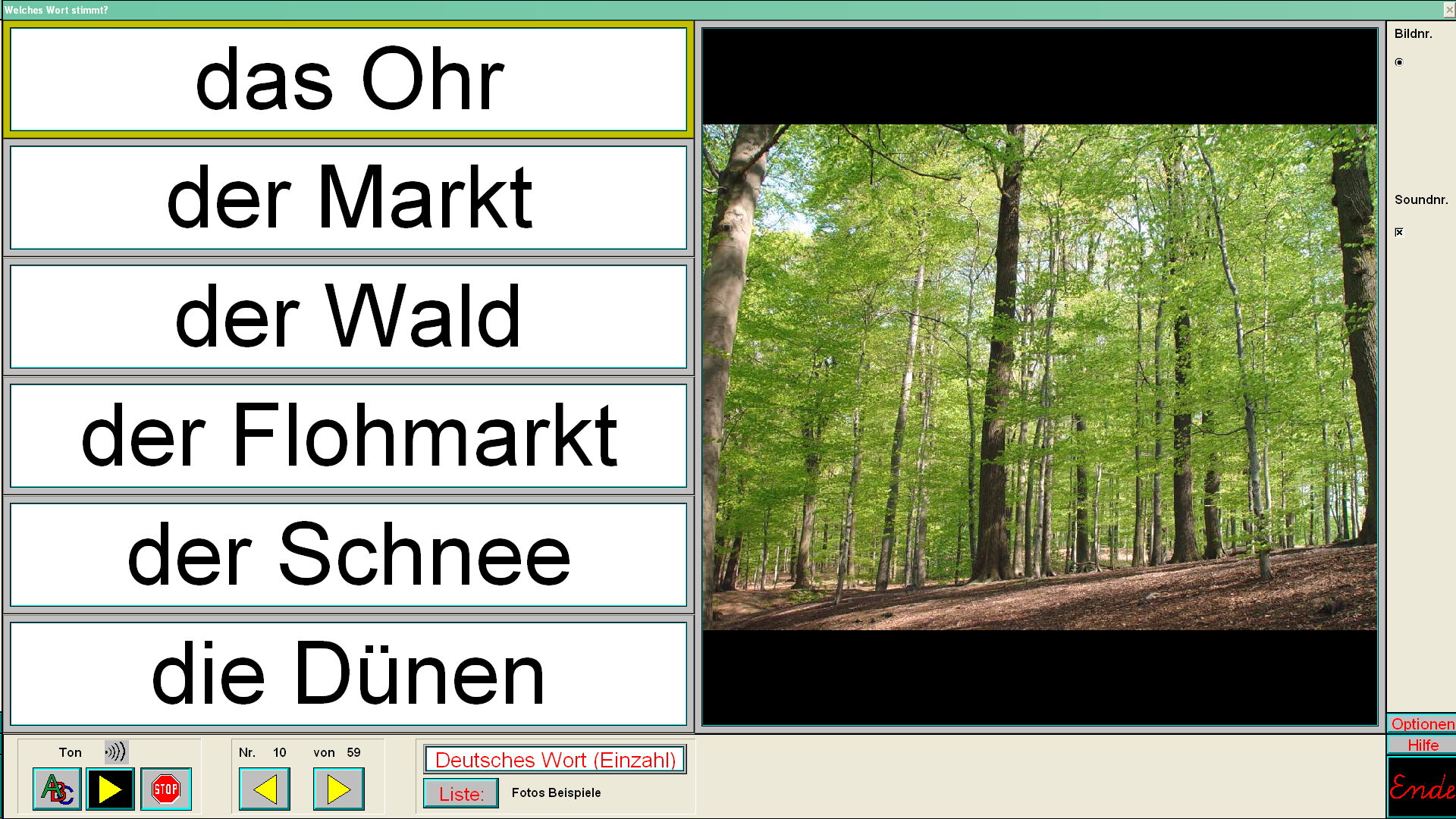Artikelbild 1 des Artikels “Hören-Sehen-Schreiben “