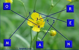 Artikelbild 4 des Artikels “Digi-Rigs-L “