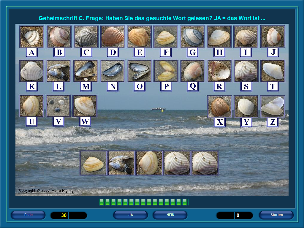 Artikelbild 5 des Artikels “Digi-Rigs-L “