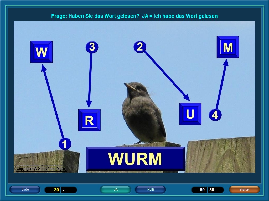 Artikelbild 5 des Artikels “Bild Plus A-L “
