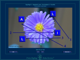 Artikelbild 5 des Artikels “Digi-Rigs-L “