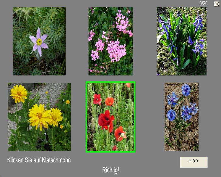 Artikelbild 6 des Artikels “Cogpack “